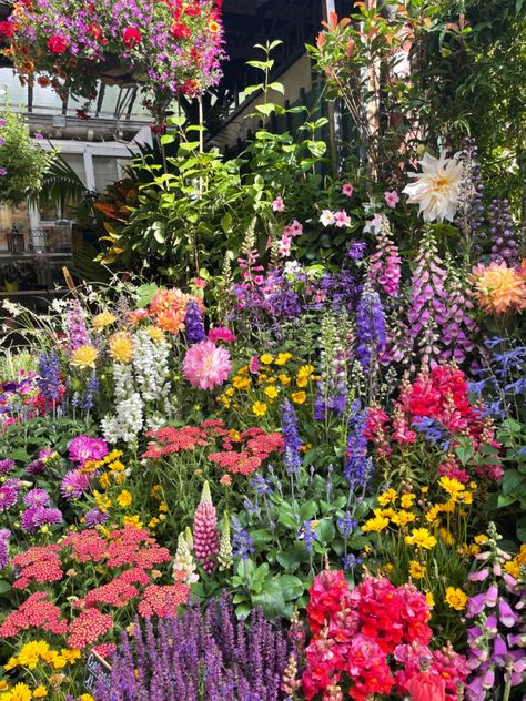Gardening, Flowers Garden, Outdoor, Nature, Colorful Garden, Flower Garden, Colourful Garden, Beautiful Gardens, Wildflower Garden