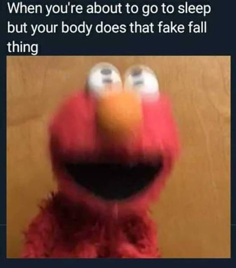 33 Funniest Memes, Pics, Laughs and Snorts ~ Elmo going to sleep body fake fall Funny Meme Pictures Lol, Funny Memes. Laughing, Funny Stuff To Make Me Laugh, Meams Funny, Character Humor, Weird Funny Pictures, Relatable Pictures, Meme Spongebob, Random Humor