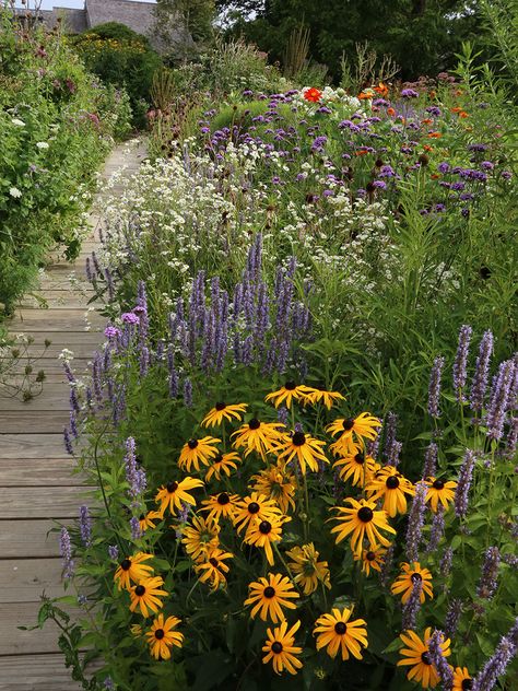 Outdoor, Shaded Garden, Garden Planning, Gardening, Pollinator Garden Design, Garden Landscaping, Pollinator Garden, Front Yard Garden, Garden Projects