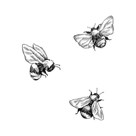 Tattoo, Insect Tattoo, Bee Tattoo, Bee Illustration, Bee Drawing, Bumble Bee Tattoo, Art Tattoo, Bumble Bee Illustration, Dibujo