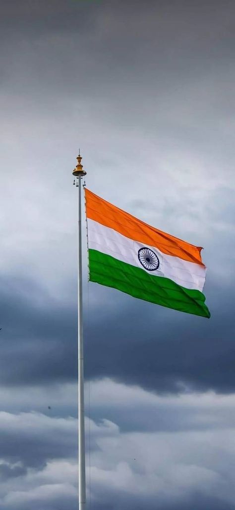 National Flag of India Tiranga Photo Hd, 15 August Independence Day Status, Happy Independence Day Wallpaper, Independence Day Hd Wallpaper, Indian Flag Pic, Happy Republic Day Wallpaper, India Wallpaper, Independence Day Hd, Independence Day Status