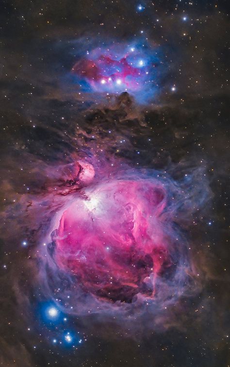 Amateur astrophotography image of the Orion Nebula through a telescope. Nature, Trippy, Deep Space, Inspiration, Orion Nebula, Nebula Wallpaper, Galaxy Wallpaper, Space Backgrounds, Space And Astronomy