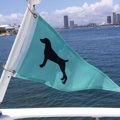 Here's a sweet personalized pennant with a weimaraner flying in sunny Australia. Can't wait for spring! Visit my Etsy shop to order a pennant with YOUR dog breed in your choice of color here: https://www.etsy.com/ca/listing/499653160/dog-gift-custom-flag-labrador-corgi-jack?ref=shop_home_active_1 Weimaraner, Labrador, Dogs, Flag, Flags, Boat Flags, Pennant, Flag Design, Corgi