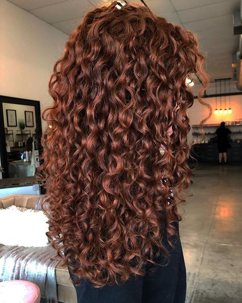 Balayage, Curly Natural Curls, Curly Perm, Curly Red Hair, Natural Curls Hairstyles, Curly Ginger Hair, Curly Hair Styles Naturally, Highlights On Curly Hair, Curly Hair Styles