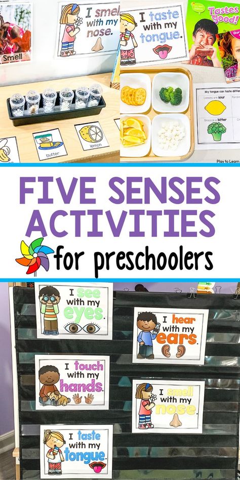 Play, Pre K, Smell Sense Activities Preschool, Senses Activities, Senses Preschool, My Senses Activities Preschool, 5 Senses Activities, 5 Senses Preschool, Five Senses Preschool