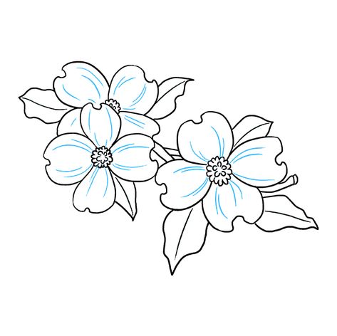 How to Draw Dogwood Flowers - Really Easy Drawing Tutorial Flower Tattoos, Colouring Pages, Draw, Flower Tattoo, Zentangle, Drawing Tutorial, Drawing Tutorial Easy, Drawings, Flower Drawing