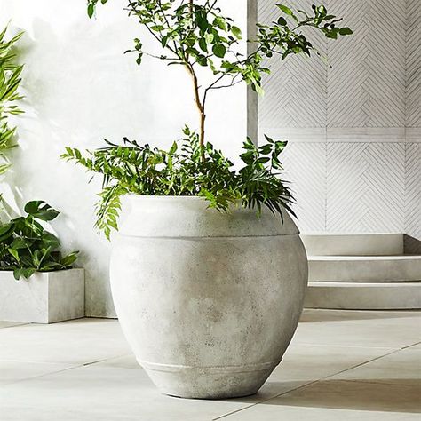 Plant daddy Hilton Carter has the best modern planter ideas | CB2 Blog Extra Large Planters, Terracotta Planter, White Planters, Black Planters, Large Planters, Concrete Planters, Gray Planter, Patio Decor, Indoor Planters