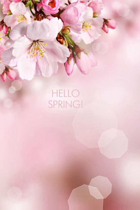 Hello Spring with flowers ....