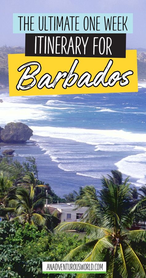 The Ultimate One Week Itinerary for Barbados - From some of the world's best diving to sailing on a luxury catamaran, here is your ultimate one week itinerary for Barbados, the jewel of the Caribbean. >> Click through to read the full post! Seattle, Trip To Barbados, Beaches In The World, Caribbean Destinations, Vacation Destinations, Caribbean Vacations, Caribbean Islands, Caribbean Travel, Island Travel