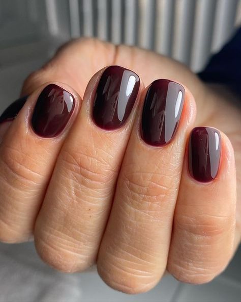 Jess Maynard on Instagram: "So shiny you can see my phone in the reflection 😆😍 Products used - Teddy as a base coat, Cinnamon Spice & Extreme shine top coat @the_gelbottle_inc" Fall Gel Nails, Shellac Nail Colors, Best Nail Salon, Fall Nail Trends, Burgundy Nails, Gel Nail Colors, Deep Red Nails, Red Nails, Nail Colors