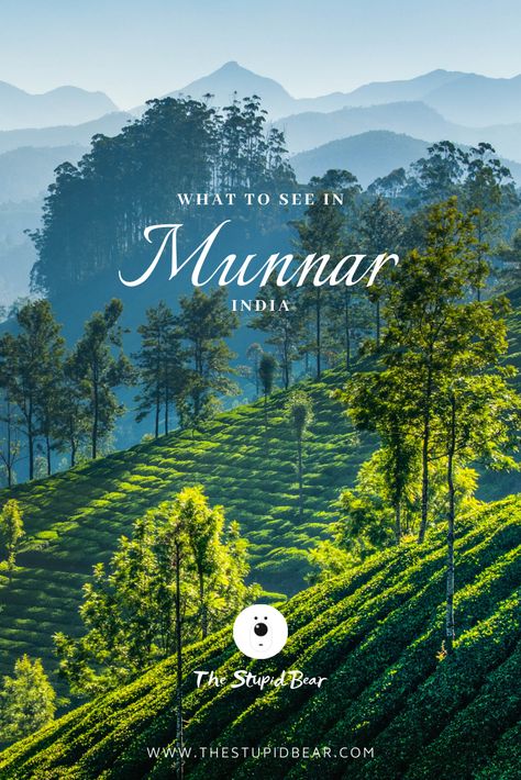 A complete guide to the places to visit in Munnar with timings, ticket prices, the best time to go, accommodation and local transportation. Ooty, Wanderlust, Incredible India, Munnar, Nature, South India, India Travel, Kerala Travel, India Travel Places