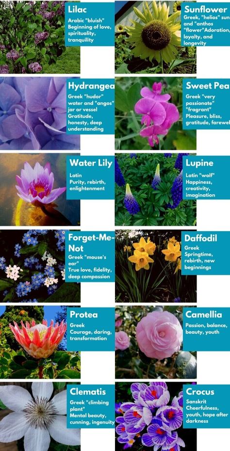 Plant Symbolism Tattoos, Plants, Art, Nature, Flora, Planting Flowers, Gardening, Ideas, Floral