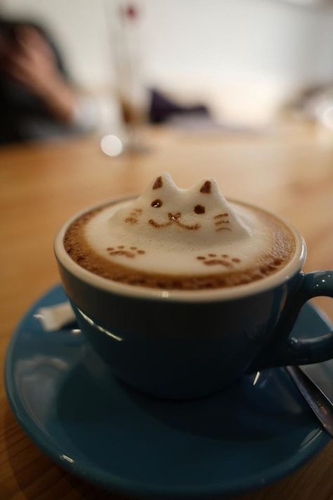 Coffee Time, Tea, Coffee, Coffee Art, Latte Art, Cafe, Cat Cafe, Coffee Cafe, Coffee Love