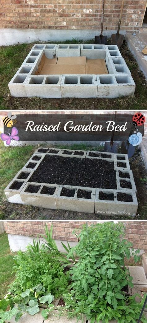 Outdoor, Raised Garden Beds, Garden Care, Back Garden Landscaping, Container Gardening, Raised Garden, Garden Ideas Diy Cheap, Garden Projects, Garden Landscaping