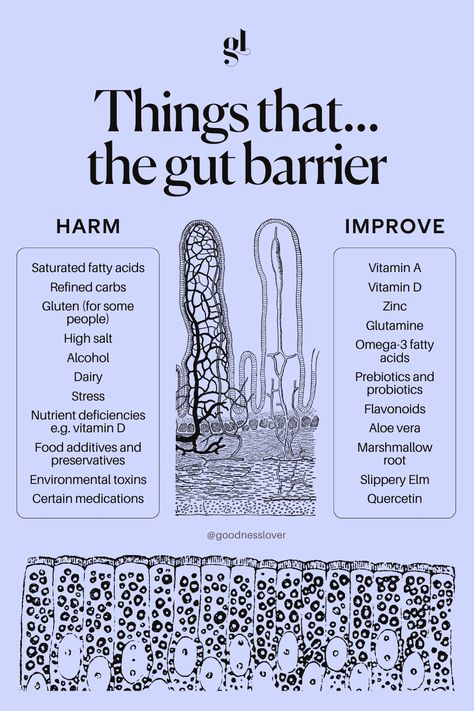 A damaged gut barrier or leaky gut & the inflammation that results has been found to be the underlying cause of most chronic diseases today. Leaky gut is where the lining of our gut becomes porous, allowing waste products & toxins, food proteins & pathogenic bacteria, etc, to seep through the membranes and enter the bloodstream. Your immune system then mounts a response to what it sees as foreign bodies in the bloodstream, resulting in inflammation, immune dysregulation, and chronic disease. Immune System, Leaky Gut, How To Heal Leaky Gut, Gut Disorders, Good Gut Bacteria, Gut Inflammation, Healing The Gut, Gut Healing, Systemic Inflammation