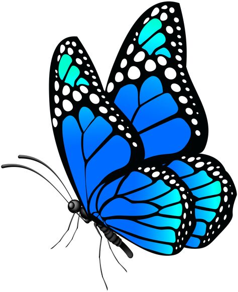 Acrylics, Design, Butterfly Clip Art, Blue Butterfly, Butterfly Art, Butterfly Pictures, Butterfly Wallpaper, Clip Art, Butterfly Drawing
