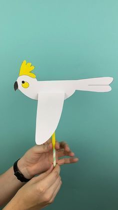 CLICK THROUGH TO THE WEBSITE FOR FULL TUTORIAL. Cute flying Australian bird puppets. Turn our free templates into cockatoos, galahs, rainbow lorikeets, budgies and more. Australian animal crafts. Australia Day crafts. Bird crafts. Puppets for kids. Crafts for kids. Origami, Toys, Crafts, Bird Puppet, Birds For Kids, Bird Crafts Preschool, Bird Crafts, Kids Crafts Birds, Animal Hand Puppets