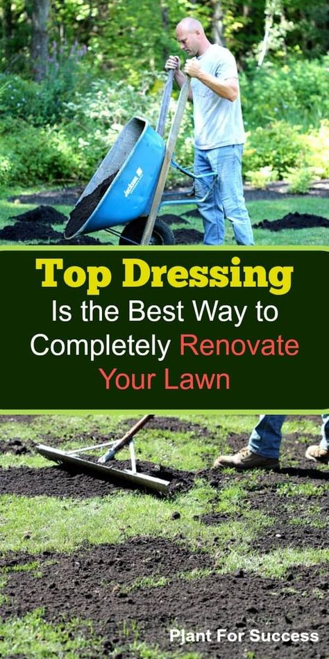 Learn the benefits of top dressing and just how to do it. Garden Types, Garden Care, Exterior, Outdoor, Dressing, Shaded Garden, Gardening, Overseeding Lawn, Lawn Leveling