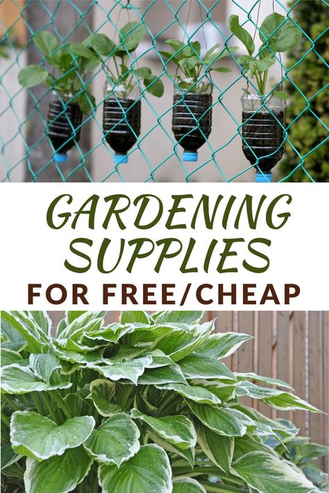 Garden Supplies, Gardening, Gardening Supplies, Compost, Terrarium, Cheap Plants, Garden Tools, Gardening 101, Seedling Pots