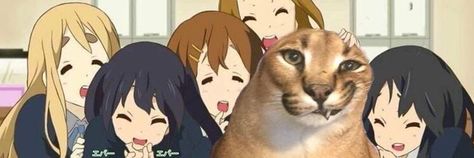 nia on Twitter: "real… " Manga, Random, Cute Headers, Floppy, Cat T, Matching Profile Pictures, Cartoon, Twitter Banner, Twitter Header