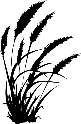 farm wheat farming grass - Free SVG Image & Icon. Draw, Sketches, Silhouette, Kunst, Ilustrasi, Line Art Drawings, Drawings, Silhouette Art, Dieren