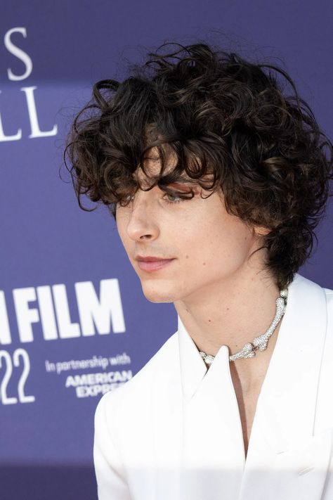Grunge, Men With Curly Hair, Mens Short Curly Hair, Men Curly Hair, Hombre Hair, Mens Curly Hair Cuts, Curly Man Hair, Men Haircut Curly Hair, Timothee Chalamet