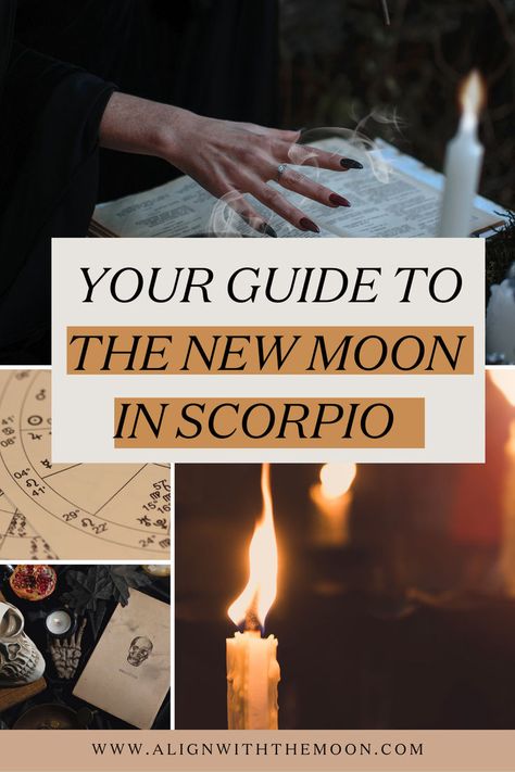 Want more information about the New Moon in Scorpio? Look no further - I've covered everything you must know about the New Moon in Scorpio. The new moon is the time to try new moon journal prompts, set your new moon intentions, and try a new moon ritual. I've even included this guide a New Moon in Scorpio ritual for you to try and you can also find a guide on how to do a new moon tarot spread if that's something you want to try. Happy Scorpio Season! Scorpio, New Moon, Intense, Zodiac Signs, Happy November, Understanding, Lunar, Moon, Intentions
