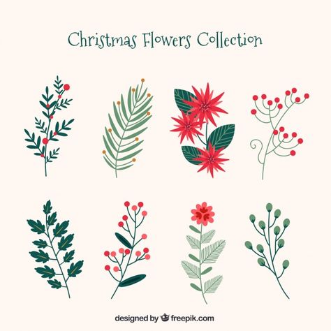 Collection of christmas flowers Free Vector Diy, Flower Doodles, Floral Drawing, Flower Drawing, Bloemen, Journal, Christmas Embroidery, Christmas Illustration, Holiday Art