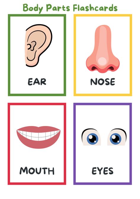 learn body parts for kids cards body systems cards Worksheets, Body Parts For Kids, Body Parts Preschool, Body Parts Preschool Activities, Parts Of The Body, Body Parts Theme, Body Parts, Flashcards For Toddlers, Flashcards For Kids