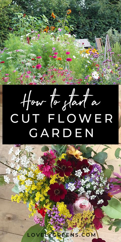 Planting Flowers, Gardening, Shaded Garden, Growing Flowers, Flowers To Plant, Flowers For Garden, Garden Flower Beds, Cut Flower Garden, Small Flower Gardens
