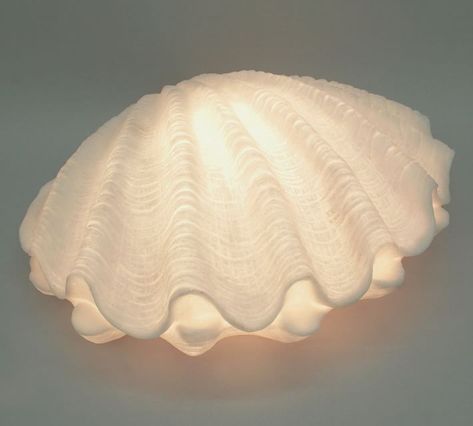 Home, Décor, Pottery Barn, Decoration, Decorative Lights, Shell Lamp, Frosted Glass, Sea Glass Decor, Lamp