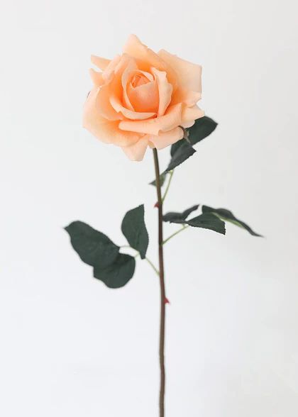 Instagram, Bonito, Floral Arrangements, China, Blooming Rose, Faux Flower Arrangements, Flower Arrangements, Peach Roses, Flower Arrangement