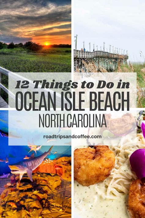 Ocean Isle Beach Nc, South Carolina Beaches, North Carolina Beaches, Myrtle Beach, Holden Beach Nc, North Carolina Vacations, South Carolina Travel, Best Family Beaches, North Carolina Travel