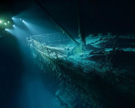 Photos of the Titanic Wreck When It Was First Discovered in 1985 | History Daily Colourful Birds, Bird, Videos, Cowel, Circle Of Life, Colorful Birds, Travel Experience, Our Life, Cry