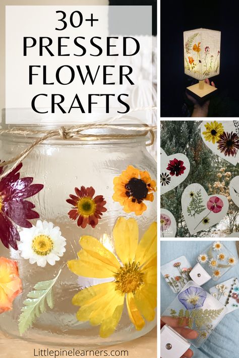 Nature, Spring Crafts, Pressed Flower Crafts, Flower Crafts, Pressed Flowers, Flower Petals, Spring Sign, Flower Vase Diy, Nature Crafts
