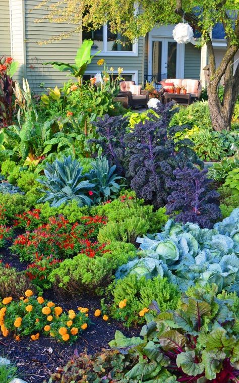 Organic Gardening Tips, Vegetable Garden, Organic Gardening, Vegetable Garden Design, Garden Planning, Gardening, Backyard Vegetable Gardens, Veg Garden, Veggie Garden