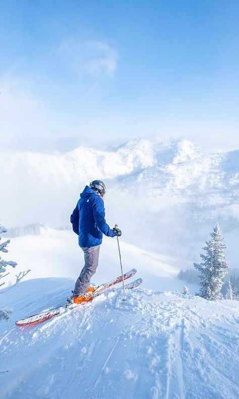 Popular, Snowboards, Winter Sports, Skiing & Snowboarding, Snow Skiing, Snowboarding, Ski Holidays, Snow Sports, Ski Mountain