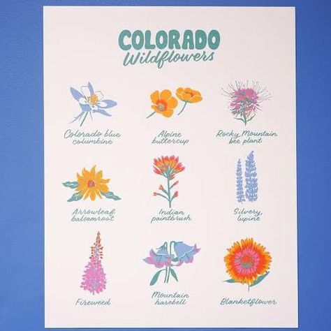 Plants, Flowers, Colorado, Rocky Mountains, Colorado Wildflowers, Native Plants, Wild Flowers, Colorado Tattoo, Wildflower Tattoo