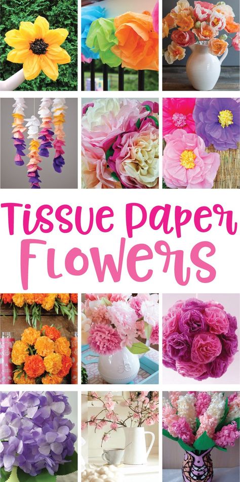 12 tissue paper flowers Tissue Paper Flowers, Diy, Tissue Paper Crafts, Tissue Paper Flowers Easy, Tissue Paper Flowers Diy, Tissue Paper Decorations, Tissue Paper, Tissue Flowers, Paper Flowers For Kids