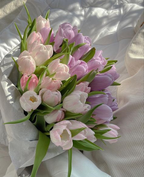 Floral, Pastel, Hoa, Bunga Tulip, Bunga, Bloemen, Fotos, Pretty Flowers, Ilustrasi