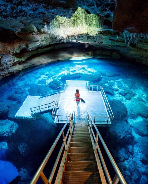 Destinations, Florida, Trips, Inspiration, Places In Florida, Blue Springs State Park, Northern Florida, Florida Adventures, Florida Vacation