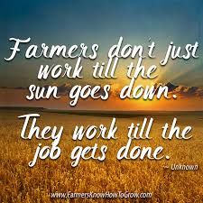 Cocoa, Country Quotes, Gardening, Ideas, Country, Farmer Quotes, Farmer Quote, Farm Life Quotes, Farm Quotes