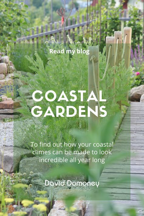 Decoration, Outdoor, Inspiration, Garden Care, Coastal Landscaping, Coastal Landscaping Ideas, Coastal Gardens, Beach House Landscaping, Coastal Landscape Ideas Front Yard