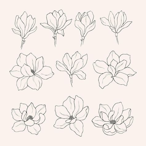 Line Art, Tattoo, Doodle, Flower Pattern Drawing, Flower Outline, Hand Drawn Flowers, Flower Line Drawings, Flower Drawing Design, Flower Vector Art