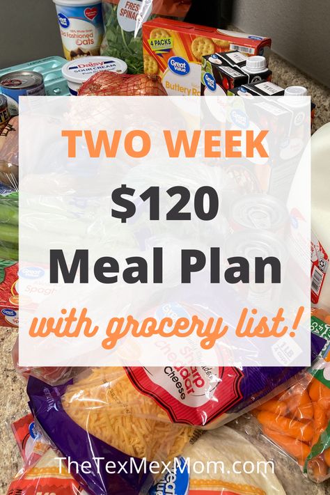 50 Dollar Grocery Budget, Budget Grocery List, Budget Meal Planning Healthy, Grocery Budgeting, Budget Family Meals, Budget Meal Planning, 10 Dollar Meals, Cheap Grocery List, Family Meal Planning Ideas Weekly