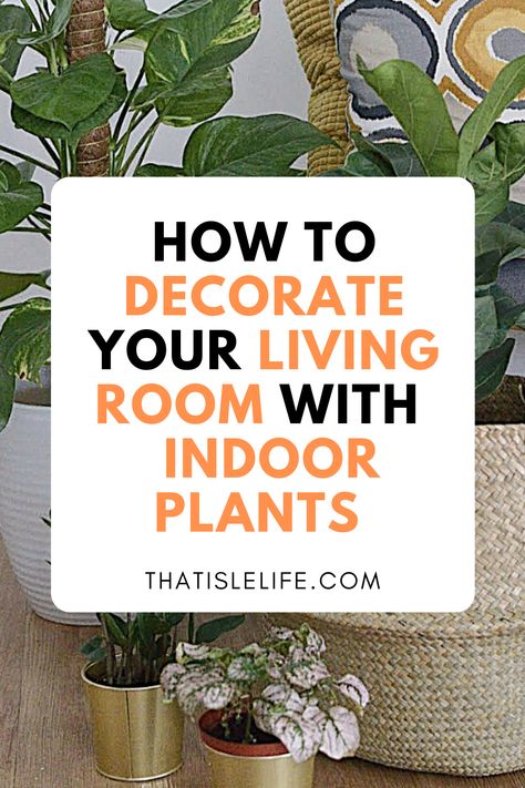 Home Decoration With Plants, How To Decorate Plants In Living Room, How To Style Hanging Plants, Indoor Plants Living Room Ideas, Plants In The Living Room Ideas, Pot Plants Indoor Living Rooms, Displaying Indoor Plants Ideas, Living Room Decor With Plants Houseplant, Green Plant Living Room Decor