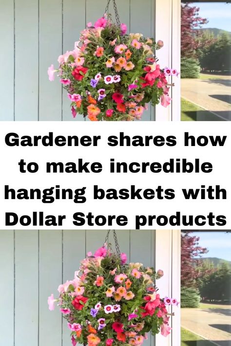 Gardener shares how to make incredible hanging baskets with Dollar Store products Summer, Gardening, Diy Hanging Planter, Hanging Plants Diy, Hanging Baskets Diy, Hanging Pots, Plants For Hanging Baskets, Plastic Hanging Baskets, Hanging Plants Outdoor