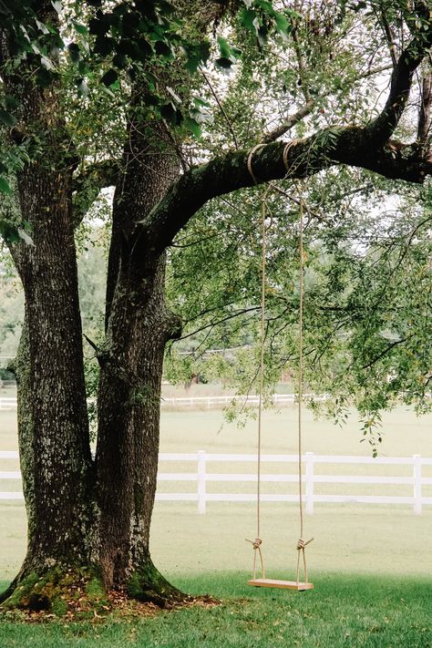 Outdoor, Country, Decoration, Tree Swings, Tree Swing, Wooden Tree Swing, Wood Tree Swing, Wood Swing, Backyard Swings