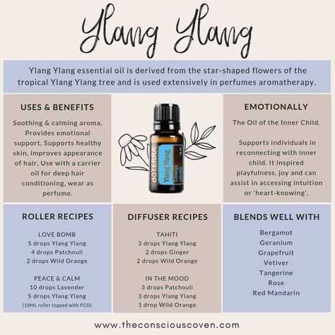 All About Ylang Ylang Essential Oil // Uses & Benefits of Ylang Ylang // How to use Ylang Ylang // Emotional Meaning of Ylang Ylang // Ylang Ylang Diffuser Recipes // Ylang Ylang Roller Blend Recipes // Ylang Ylang Blends #ylangylang #doterra #rollerblends #essentialoils