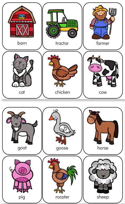 Farm Animal Flashcards | These printable farm activities for kids are fun and educational! #preschool #preschoolers #preschoolactivities #learningactivities #educationalactivities #ideasforkids #kids #children #students #classroom Pre K, Farm Animals Preschool, Preschool Farm, Farm Activities Preschool, Farm Animals For Kids, Preschool Farm Crafts, Farm Animals Games, Preschool Farm Theme, Farm Preschool